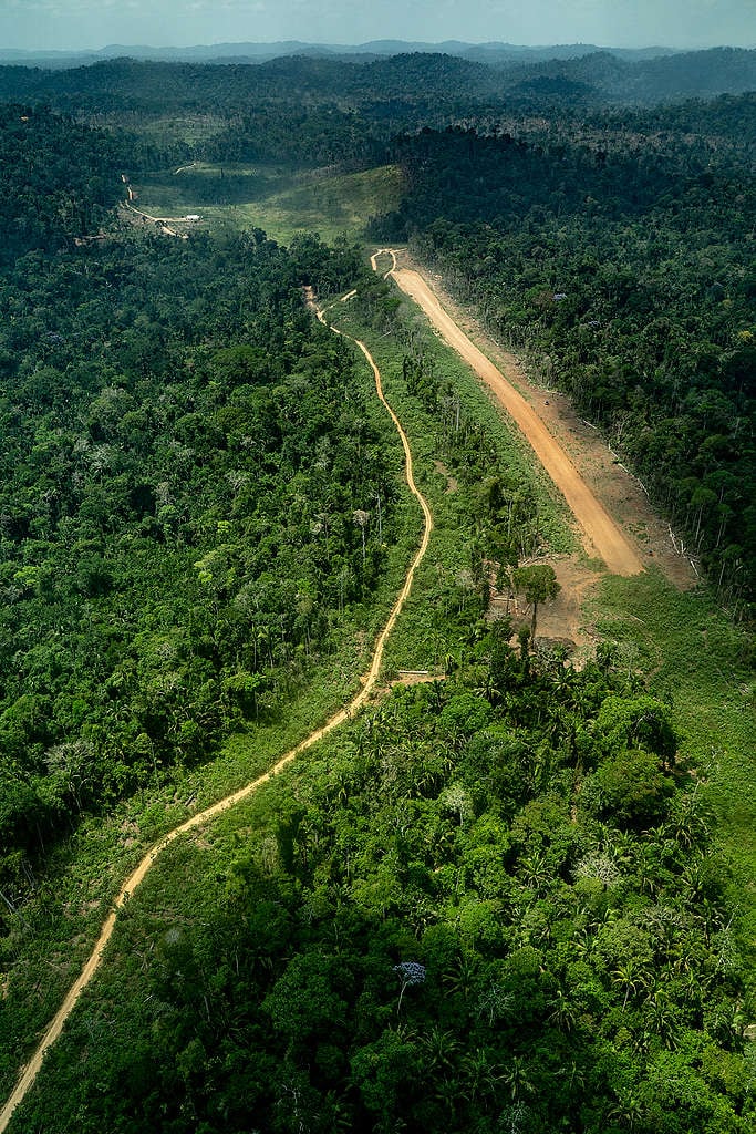 Terra indígena com povo isolado fica no centro de conflito após criação de área de proteção no Pará