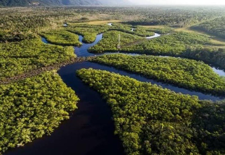 Amazônia registra menor desmatamento da série histórica em 2025, aponta MapBiomas